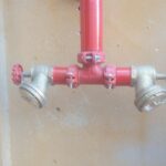 WhatsApp Image 2021-06-24 at 16.44.39 (1)