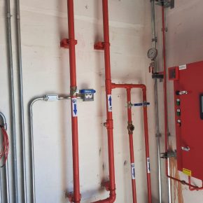 WhatsApp Image 2021-06-24 at 16.44.48