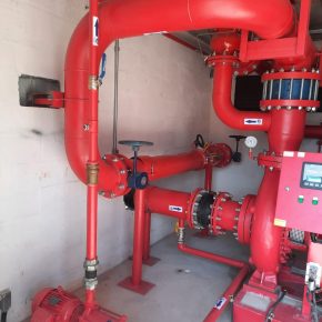 WhatsApp Image 2021-06-24 at 16.44.49