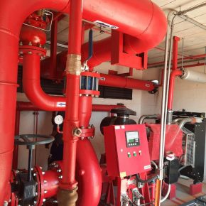 WhatsApp Image 2021-06-24 at 16.44.51